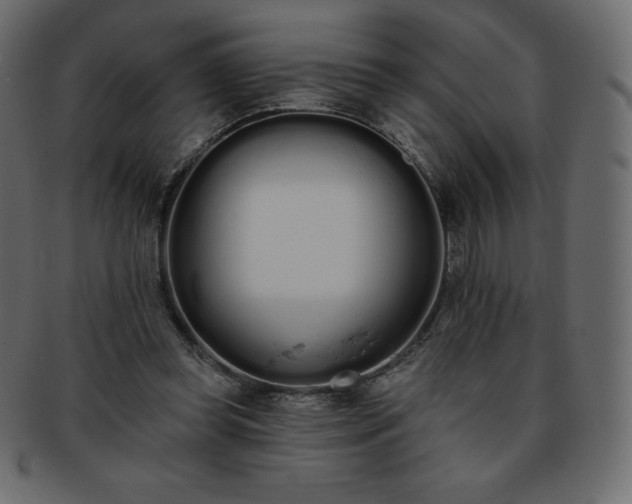 X0000093360349200710191101