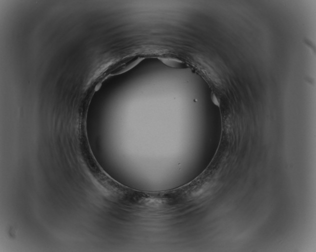 X0000093360352200710191101