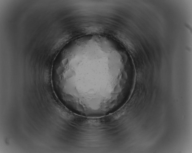 X0000093360353200710191101