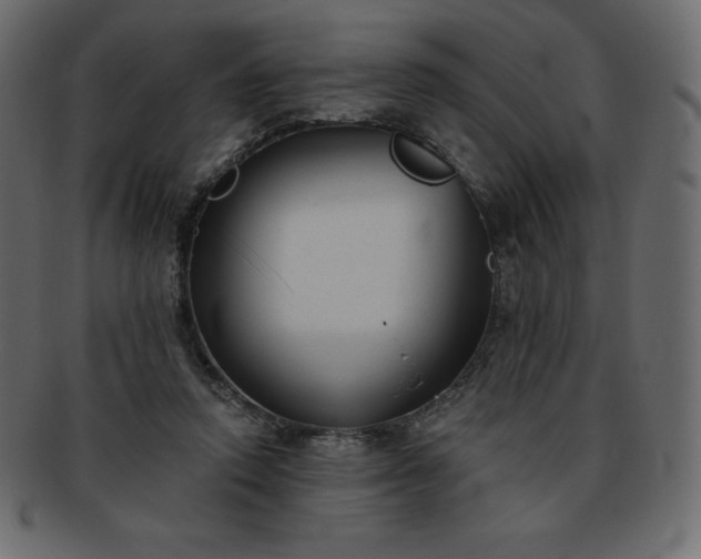 X0000093360354200710191101