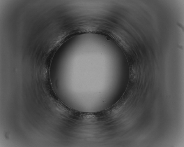X0000093360355200710191101