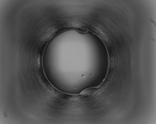X0000093360358200710191101