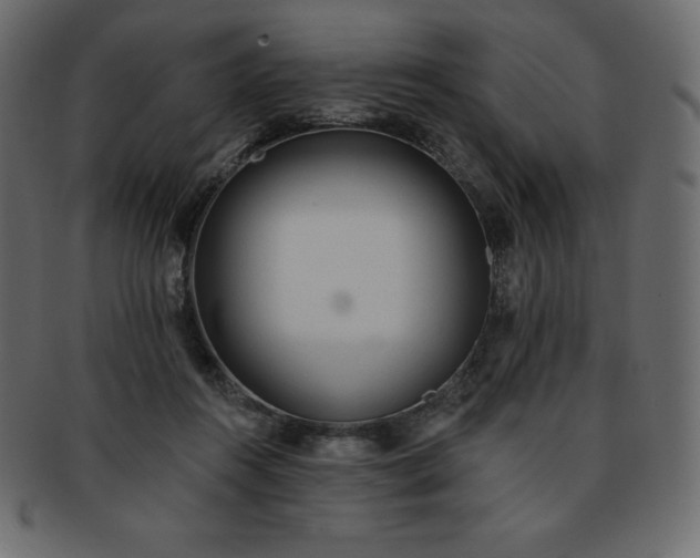 X0000093360360200710191101
