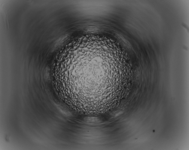 X0000093360361200710191101