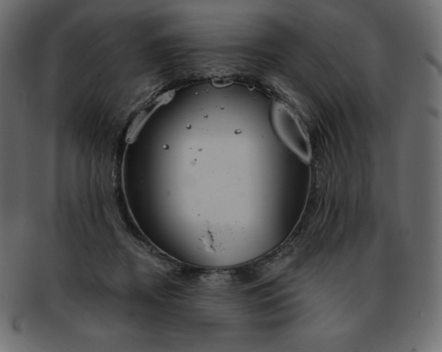 X0000093360362200710191101