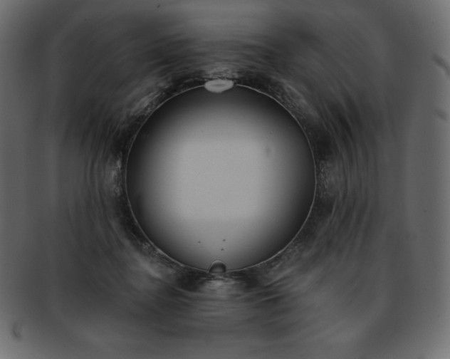 X0000093360364200710191101