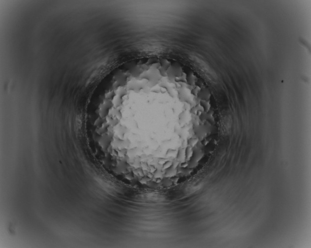 X0000093360365200710191101