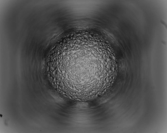 X0000093360369200710191102