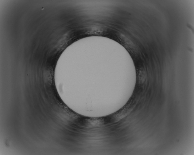X0000093360370200710191102