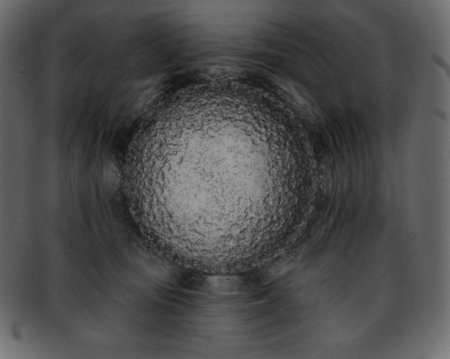 X0000093360371200710191102