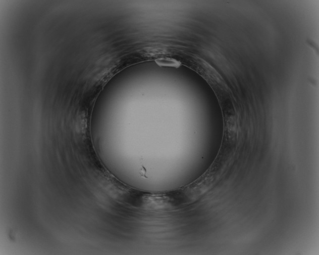 X0000093360372200710191102