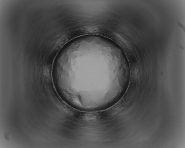 X0000093360373200710191102