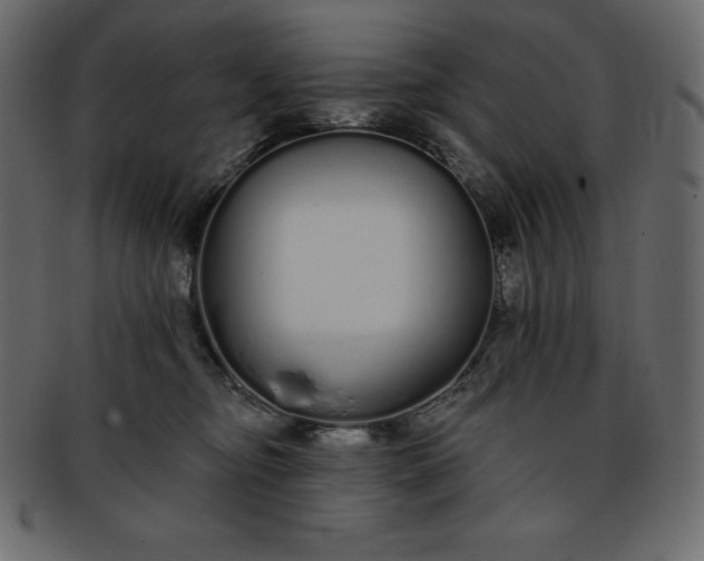 X0000093360374200710191102