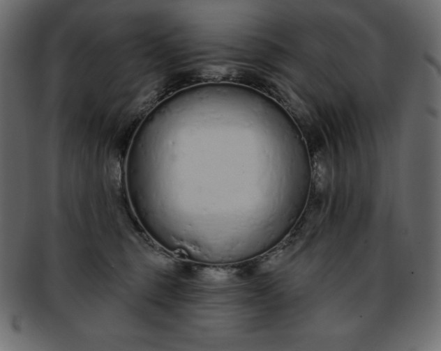 X0000093360375200710191102