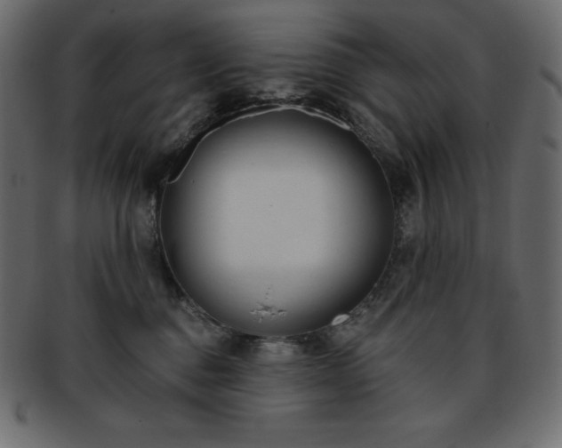 X0000093360376200710191102