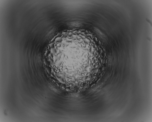 X0000093360377200710191102