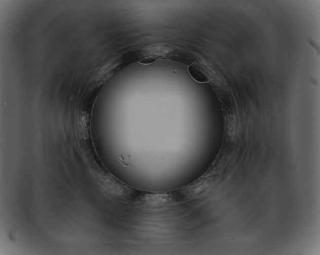 X0000093360378200710191102
