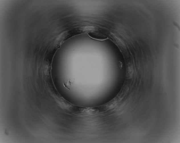 X0000093360379200710191102