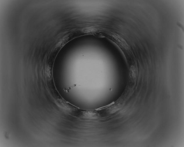 X0000093360380200710191102
