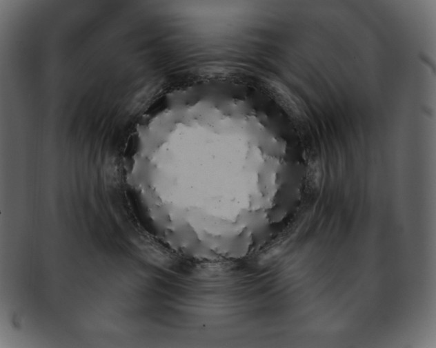 X0000093360381200710191102