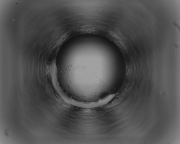 X0000093360382200710191102