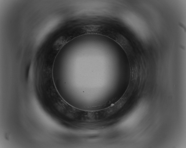 X0000093360383200710191102