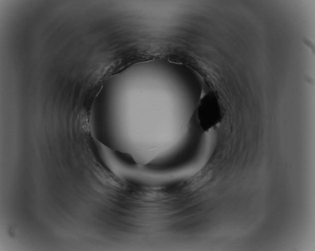 X0000093360384200710191102
