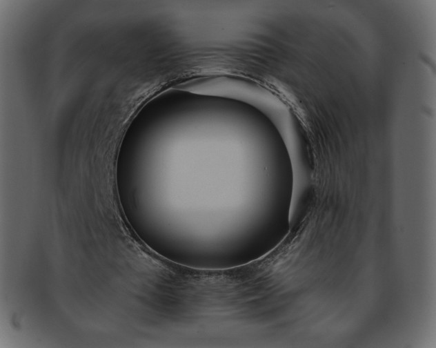 X0000093360385200710191101