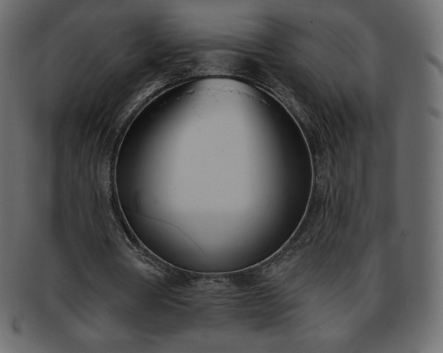 X0000093360386200710191101