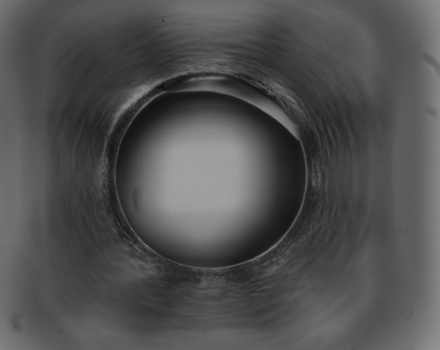X0000093360388200710191101