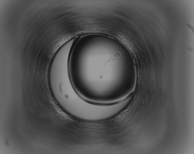 X0000093360389200710191101