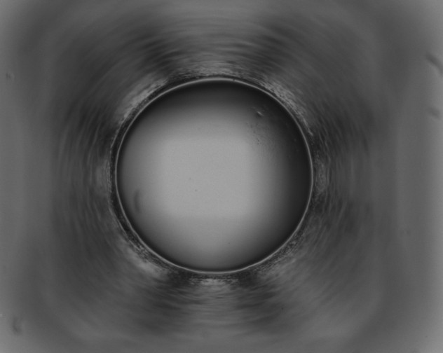 X0000093360390200710191101
