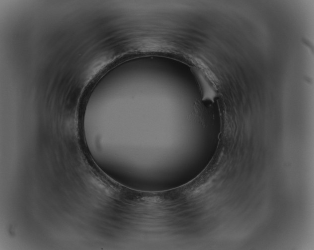 X0000093360391200710191101