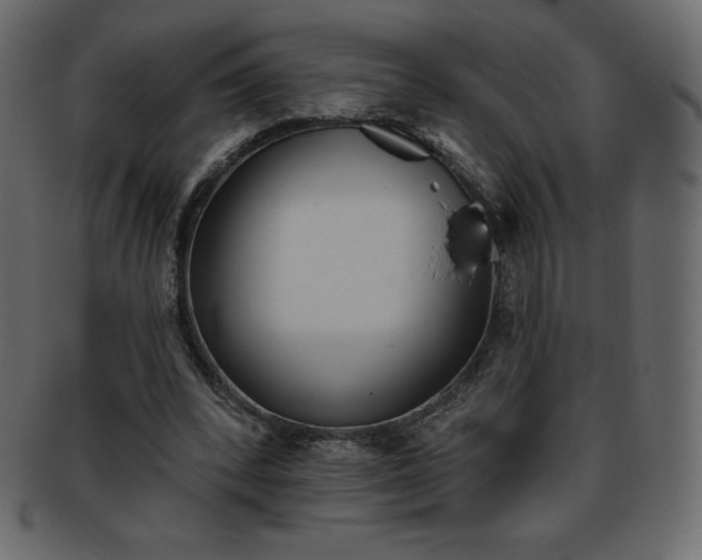 X0000093360392200710191101