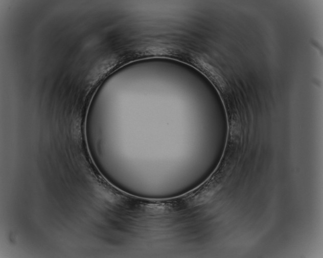 X0000093360394200710191101