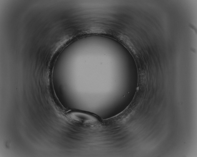 X0000093360395200710191101