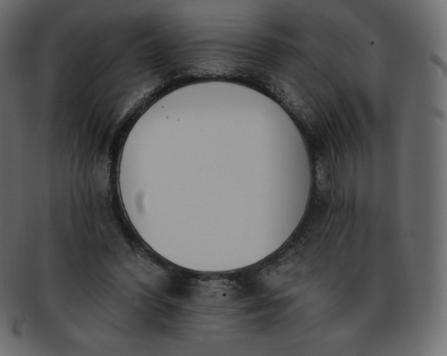 X0000093360396200710191101