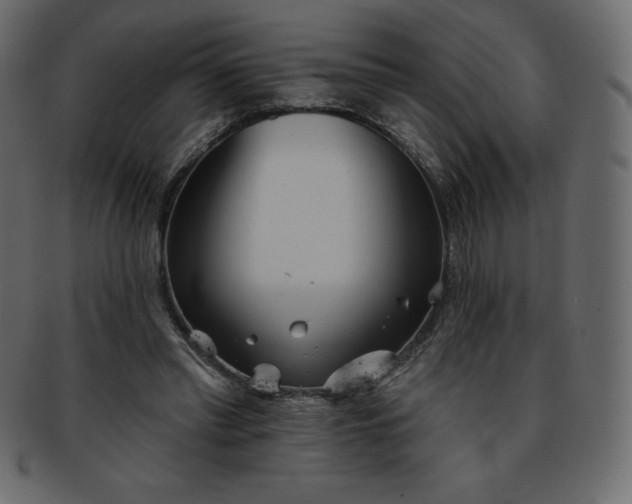 X0000093360397200710191101