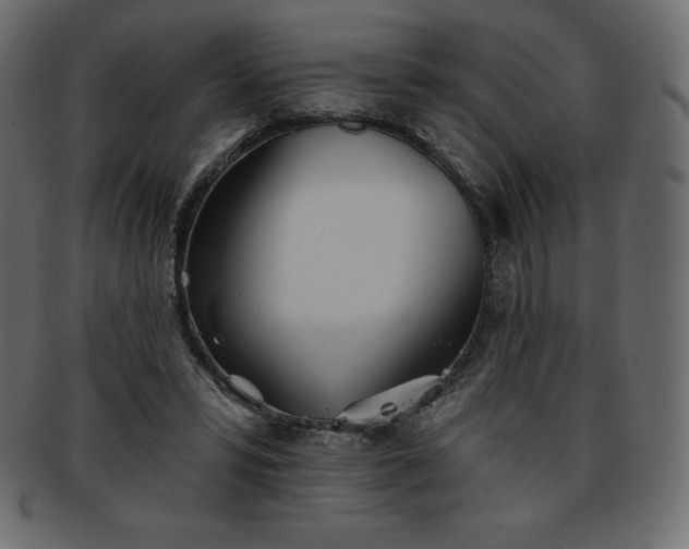 X0000093360399200710191101