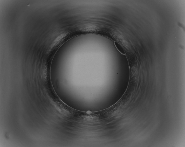 X0000093360400200710191101