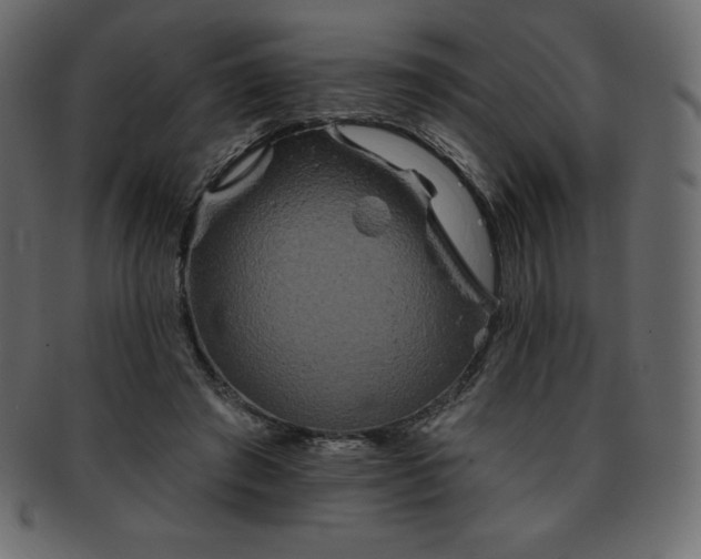 X0000093360401200710191101