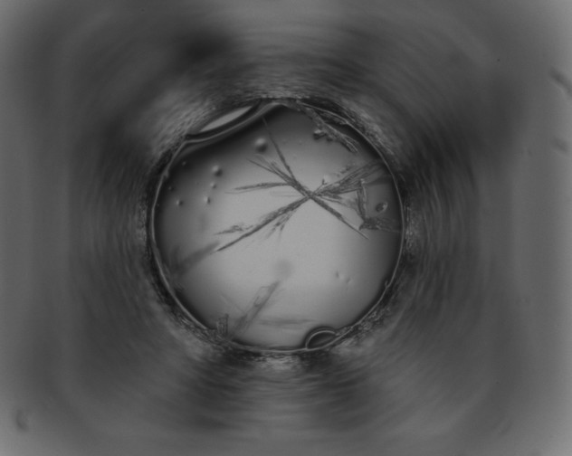 X0000093360402200710191101