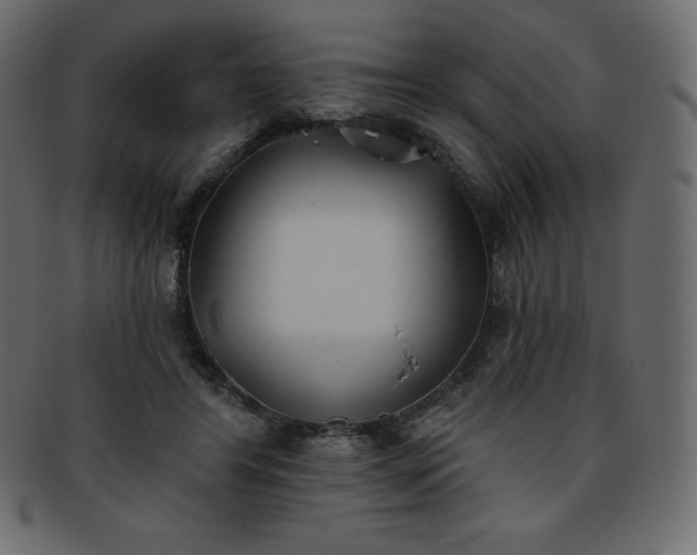 X0000093360404200710191101