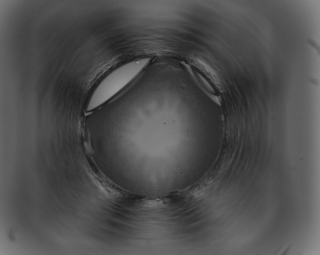 X0000093360405200710191101