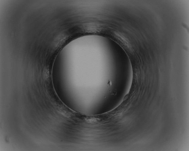 X0000093360407200710191101