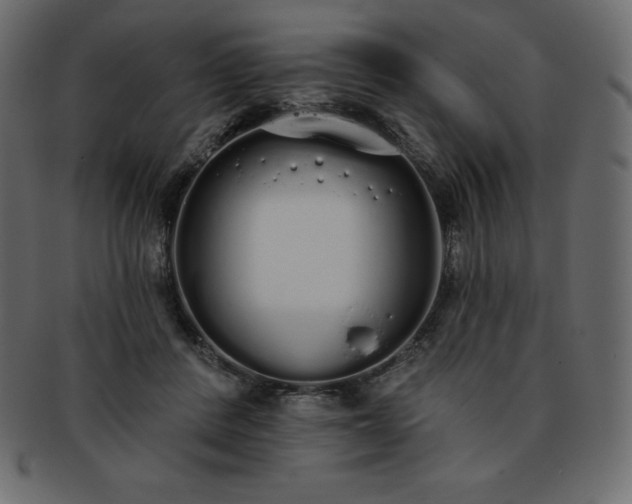X0000093360408200710191101