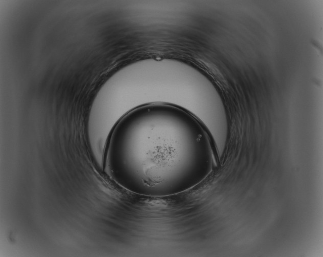 X0000093360409200710191101