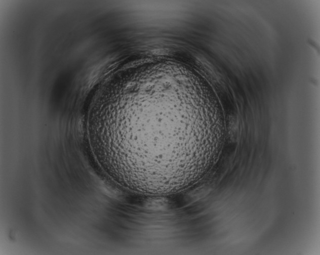 X0000093360410200710191101