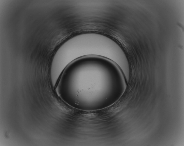 X0000093360411200710191101