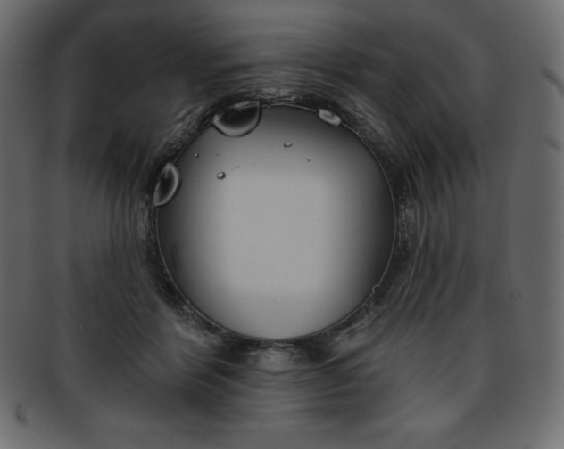 X0000093360412200710191101